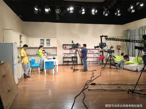 廣播電視編導(dǎo)專業(yè)全攻略 從知識(shí)背景到職業(yè)發(fā)展
