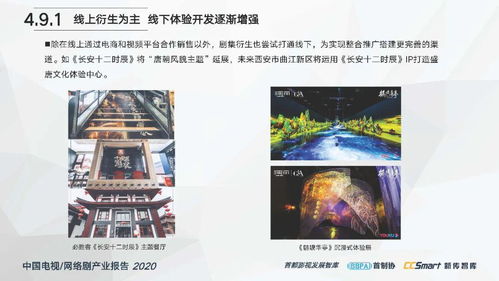中國(guó)電視與網(wǎng)絡(luò)劇產(chǎn)業(yè)報(bào)告2020 數(shù)字化轉(zhuǎn)型下的創(chuàng)新與挑戰(zhàn)